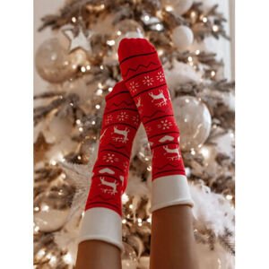 Vianočné ponožky DASHER veľkosť: 37-41
